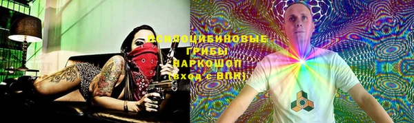 МДПВ Абаза