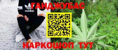 трава Кингисепп