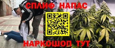 индика Кинель