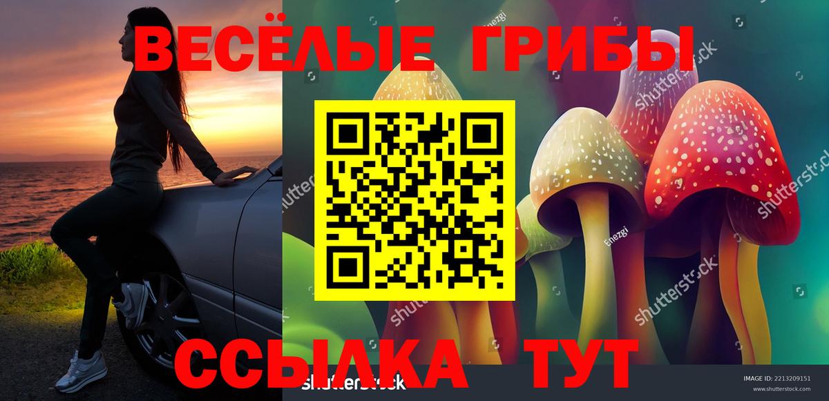 Галлюциногенные грибы GOLDEN TEACHER  Псилоцибиновые грибы прущие грибы  Лесозаводск  Вход с VPN 